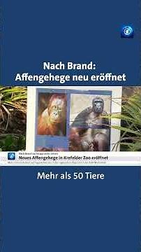 Krefelder Zoo eröffnet neues Affengehege nach Brand vor 6 Jahren #tagesschau #nachrichten #affen