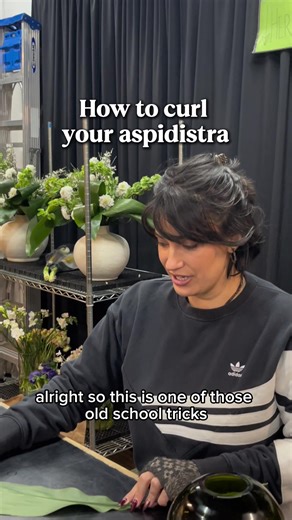 Expert Flower Shop Tips for Nashville Florists