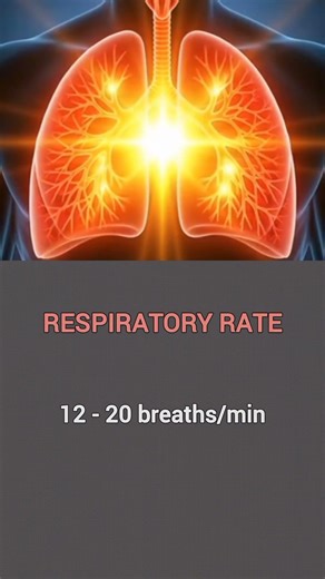 Normal Body Vitals You Should Know.
