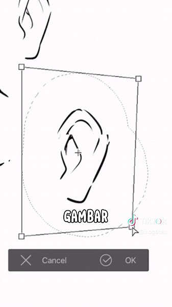 Cara Menggambar Telinga Anime: Tutorial Lengkap untuk Pemula