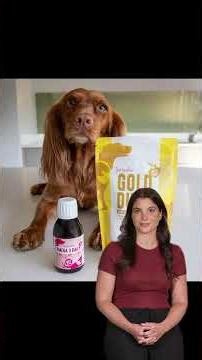 IVDD Prevention - Intervertebral Disc Disease in dachshunds