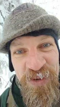 Cut this forest? Finland...