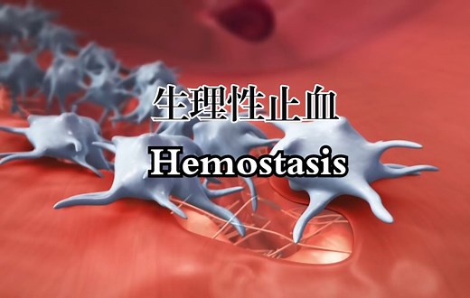 生理性止血Coagulation Cascade-Physiology of Hemostasis