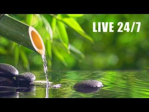 Relaxing Piano Music & Water Sounds 24/7 | Sleep Music, Stress Relief and Meditation