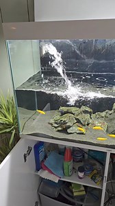 164K views · 769 reactions | I'm so glad that I installed the...