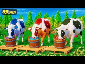 Color Cows & Animals Cartoon Compilation: Wild Animal Fights | Farm Diorama Adventures!