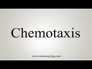 How To Say Chemotaxis
