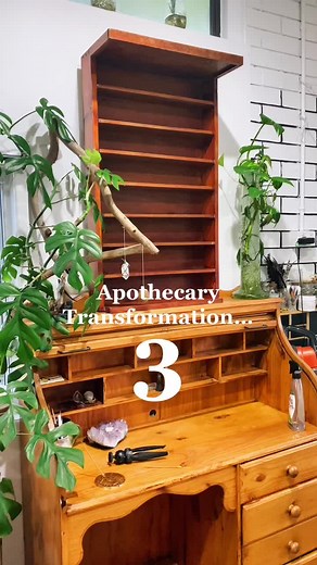 Creating my apothecary 🪶🌿#apothecary #witchcraft #pagantok #herbalism