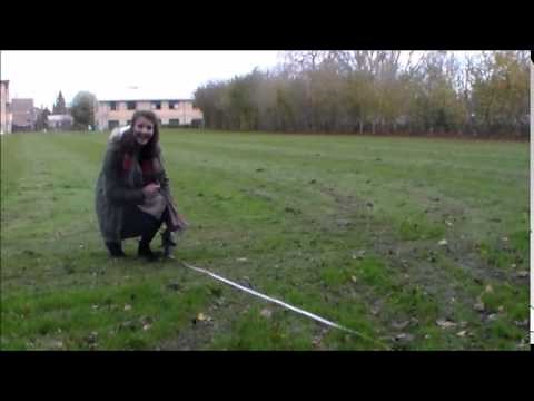 Environmental Studies - Belt Transects