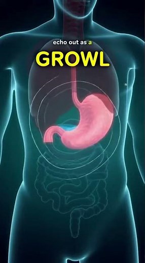 Why Your Stomach Makes Weird Noises 🤔🍔 (Explained)