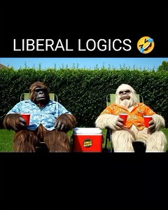 Liberal logic 😂🤣 | Jungle Anchor