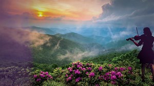 164 reactions · 21 shares | An incredibly diverse program featuring the charm and tenderness of Aaron Copland's "Appalachian Spring," the sounds of America in Florence Price's "Symphony No. 1," and energetic depictions of Romare Bearden’s paintings in Carlos Simon's "The Block." | Jacksonville Symphony | Facebook