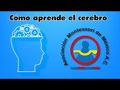 A Complete Guide to Understanding Cognitive Processes and the Impact of Emotions