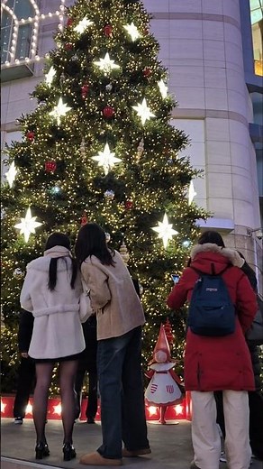 지금 서울에서 가장 예쁜 곳 ✨ 롯데백화점 본점 야외 풍경,명동 가면 꼭 찍어야 할 포토존! ,실물 보고 깜짝 놀란 역대급 비주얼,롯데백화점 본점 야외 성탄트리 풍경