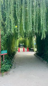 Food Forest Restaurant | Food Forest