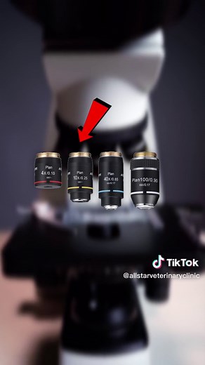 Understanding Microscope Objectives: A Comprehensive Guide