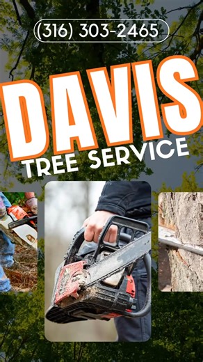  Got a tree acting like it owns the place? Call Davis Tree Service...