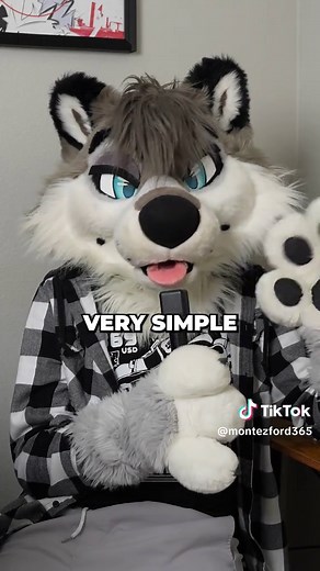 The Arrest of a High School Furry: A Storytime