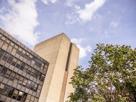 Primary Science Capital Project