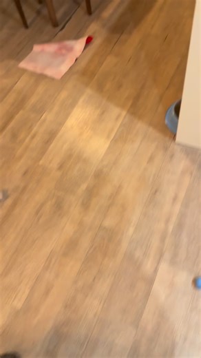 LOS TAROTISTAS Llegó a casa y me desayuno que estos chiquitos son esotéricos, si Biznikke y El Chino se estuvieron tirando las cartas… Que harán dsp de esto? Carta Astral? Registros Akashicos o Constelaciones? | Connie Ballarini