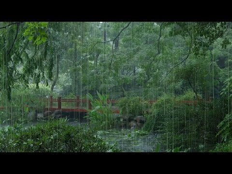 The beautiful lotus pond is raining(33) , sleep, relax, meditate, ASMR, Real Shot