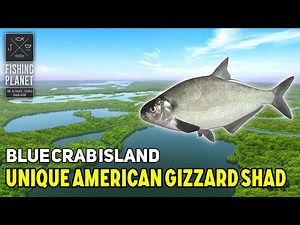 Unique American Gizzard Shad Blue Crab Island - Fishing Planet