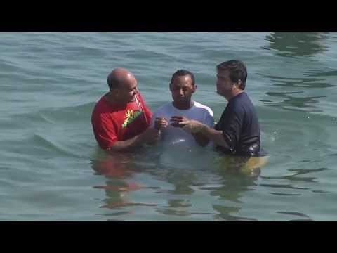 The Moody Church: Baptism in the Lake