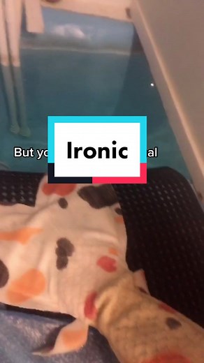 HaleyMermaid on TikTok