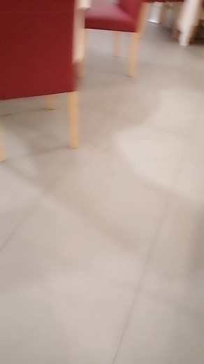 Delicious Buffet Setup for Any Occasion