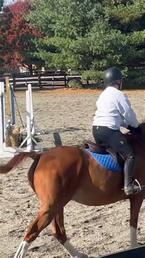 Jumping lesson at home