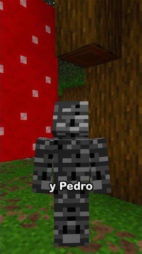 Diferencias raras entre Minecraft Javier y Pedro 🤔