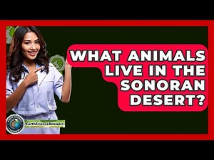 What Animals Live In The Sonoran Desert? - Earth Science Answers