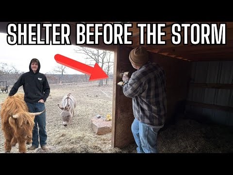 Winter Storm Farm Prep | Bedding Coops, Building Wind Breaks & Protecting New Lambs