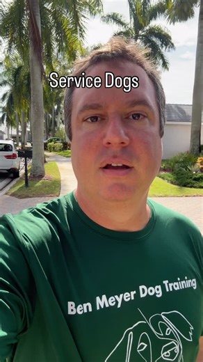 Did you know that it’s possible to train your own dog to be a service...