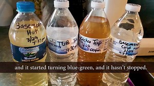 156K views · 98 reactions | 5 years later, the people of Flint continue to deal with the aftermath of lead contaminating their drinking water. | The Story of Stuff Project | Facebook