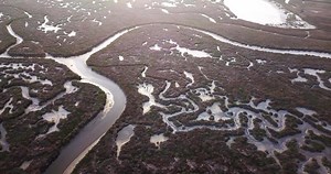 Download Bottom of a pond without water and abstract curves of the terrain for free