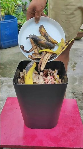 Turn Kitchen Waste Into Rich Compost at Home in Just 6 Months | Easy DIY Composting