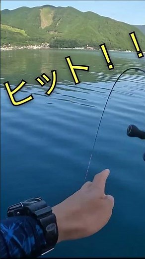 【チヌ筏・かかり釣り】超絶快適！！「フグ屋形」での釣行！三重県 賀田湾 丈丸渡船にて！！！#shorts