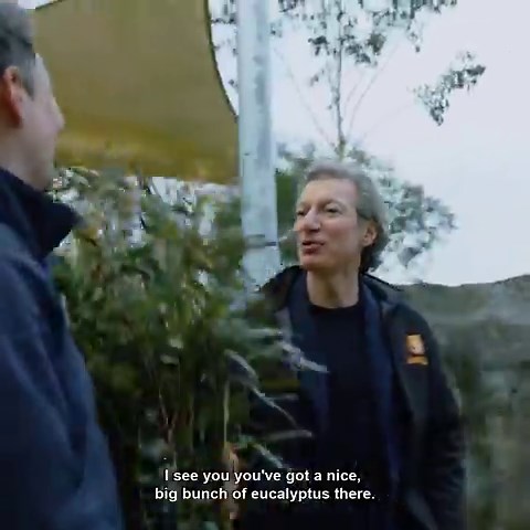 We can't believe how fast our koala joey is growing! 🐨 Lord Bath joins Keeper Jon for Hazel's weekly weighing session and finds out how this adorable little girl has been getting on. | Longleat