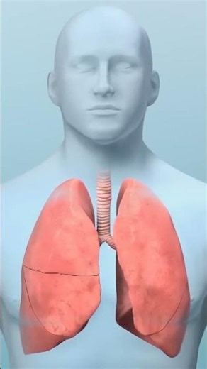The test that could detect cancer 5 years early