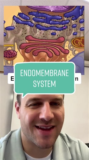 Endomembrane System #biology #apbiology #apbio #endomembranesystem #protein #cell #science