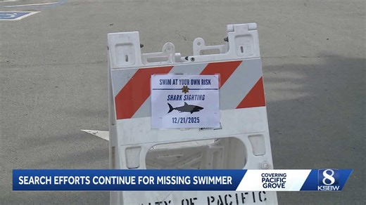 Witness reports shark with body in mouth before swimmer vanishes in Pacific Grove