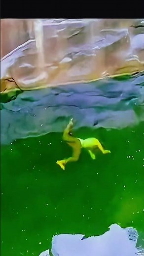 "Top Underwater Shorts for Summer 2025! | Game-Changing Underwater Shorts You Need to See! #Swimming