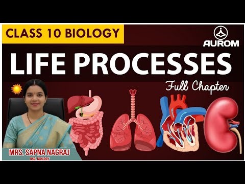 Life Processes (जीवन प्रक्रियाएँ) | Class 10 Biology NCERT | Part -1 | #education #10th #10science