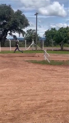 pega do garrote #boi