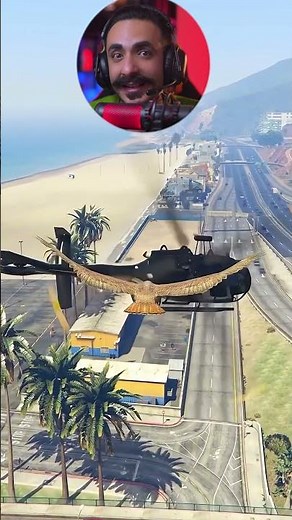 تصادف عجیب پرنده با هواپیما در GTA 5!