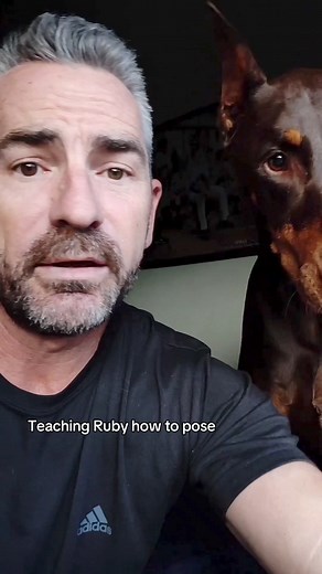 67K views · 8.2K reactions | #rubytuesday Teaching Ruby how to pose. She did the perfect squinch with her eyes ❤️. #doberman #dobermann #rubydooby_do #rubydoobydo | Rubydoobydo | Facebook