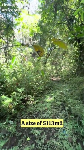 Refugio Tropical Zancudo