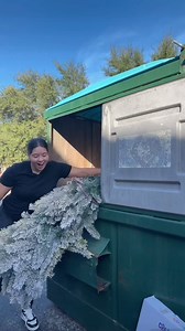 443K views · 9.5K reactions | Found a Christmas tree while Dumpster Diving #christmastree #holidays #fyp | Melanie Diaz | Facebook