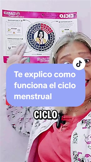 ¡El ciclo menstrual facilito!